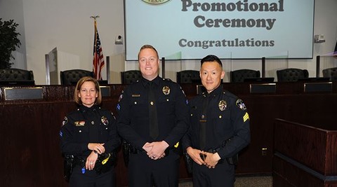 The Balanced Career: Criminology