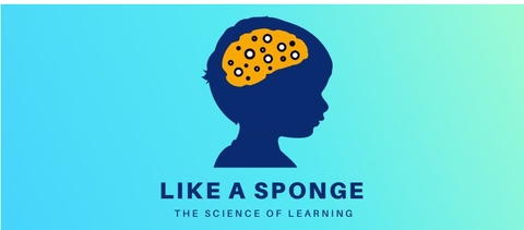 Welcome to Like a Sponge, GreatSchools’ podcast for parents